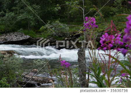 River Rauma, Oppland, Norway River Rauma, Oppland, Norway 35630736