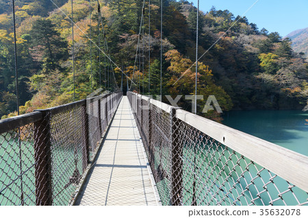 Retrospective suspension bridge 35632078