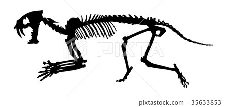 Saber - toothed tiger ( Hoplophoneus primaevus ) Saber - toothed tiger ( Hoplophoneus primaevus ) 35633853