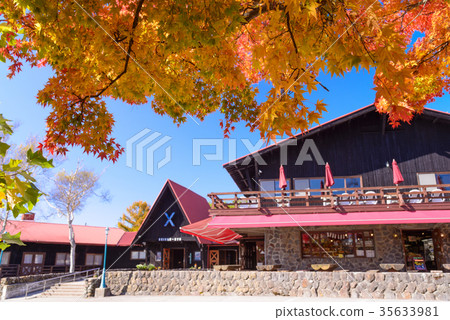 Kiyosumi dormitory autumn leaves 35633981