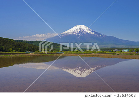 稻田富士裡面 稻田富士裡面 35634508