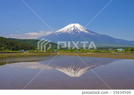 稻田富士裡面 稻田富士裡面 35634509