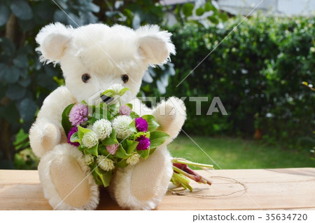 花束和泰迪熊 花束和泰迪熊 35634720