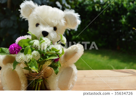 花束和泰迪熊 花束和泰迪熊 35634726