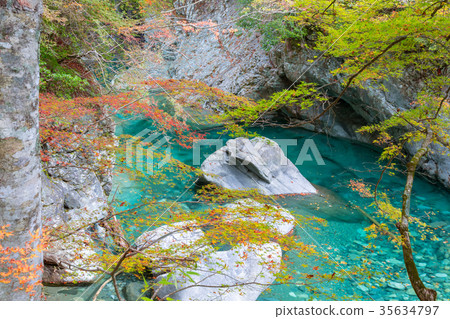 香川河秋葉 35634797