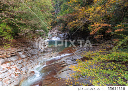 香川河秋葉 香川河秋葉 35634836