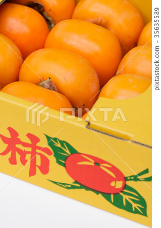Boxed casket Boxed casket 35635589