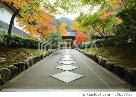 京都最成功的醫院 京都最成功的醫院 35635783