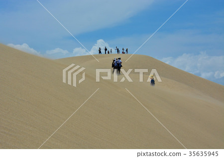 鳥取沙丘 - 遊客被風吹走了（3） 35635945