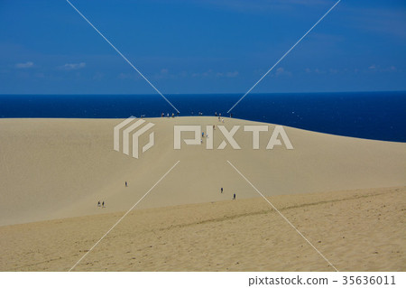 View sand dunes from Tottori sand dunes and promenade 35636011