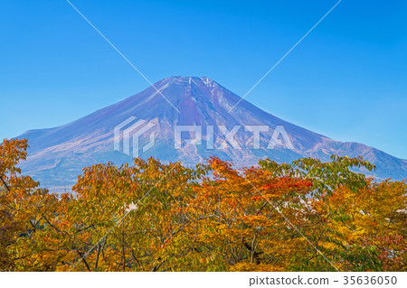 Fuji in late autumn 35636050