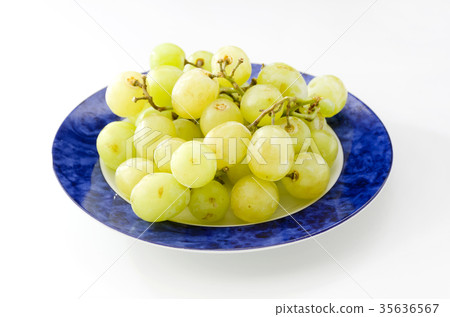 Grape (Thompson) 35636567