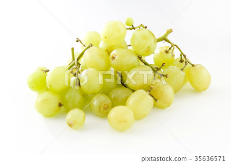 Grape (Thompson) 35636571