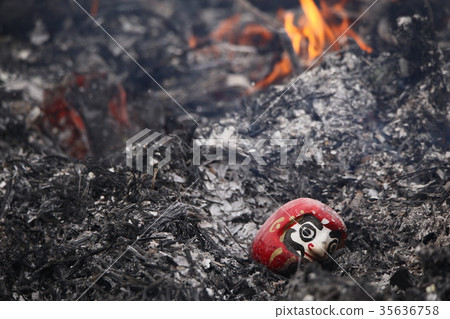 Grilling donkey 35636758