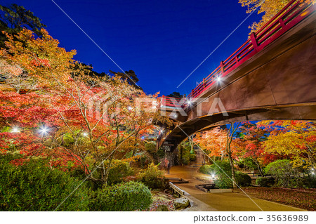 Yurihiko Park Momiji Valley Yurihiko Park Momiji Valley 35636989