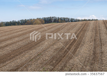 Biei no Oka 35637567