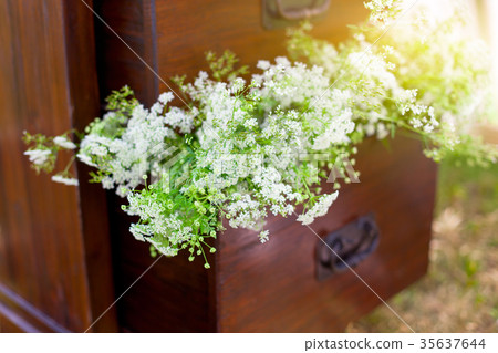 White Flowers in a drawer 35637644