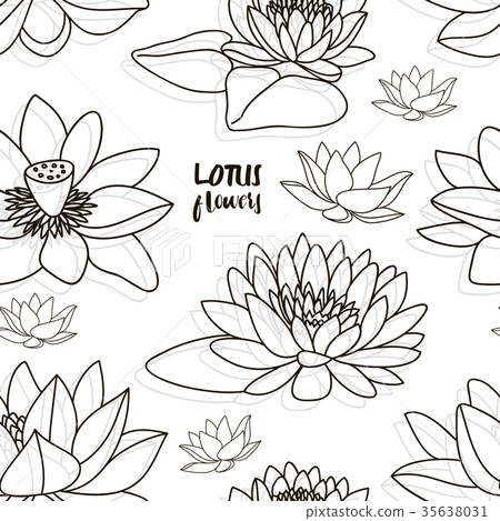 Set of lotus flowers pattern Set of lotus flowers pattern 35638031