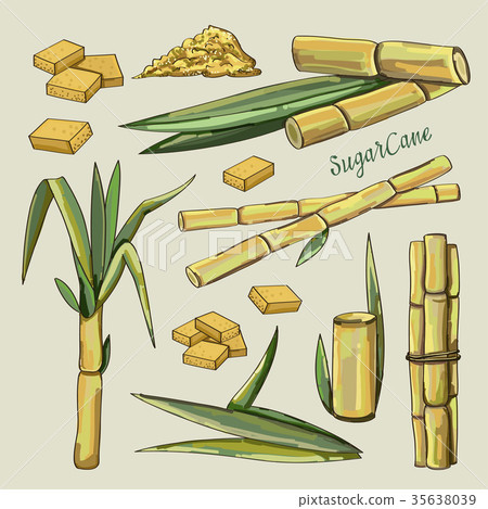 Sugar cane icons - ภาพประกอบสต็อก [35638039] - PIXTA