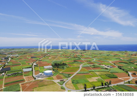 Okinawa Okinawa 35638088