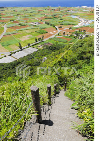 Okinawa Okinawa 35638137