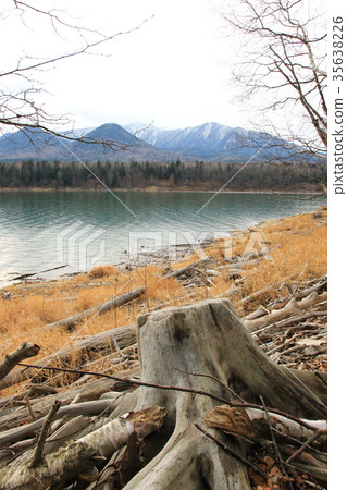 Lake shore of Lake Kodaira, Hokkaido 35638226