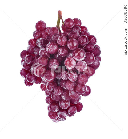 grape grape 35639690