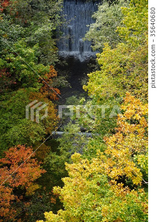 Yatsugatake Nakashin Kogen Quasi-National Park (Yachiho Kogen) Waterfall and deciduous broadleaf forest under Yatsugi Pass Bridge 35640680