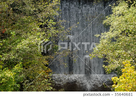 Yatsugatake Nakashin Kogen Quasi-National Park (Yachiho Kogen) Waterfall and deciduous broadleaf forest under Yatsugi Pass Bridge 35640681