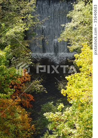 Yatsugatake Nakashin Kogen Quasi-National Park (Yachiho Kogen) Waterfall and deciduous broadleaf forest under Yatsugi Pass Bridge 35640683
