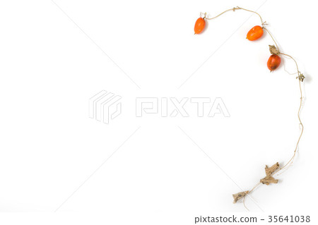 秋天到冬天照片框架秋天冬天照片框架 35641038