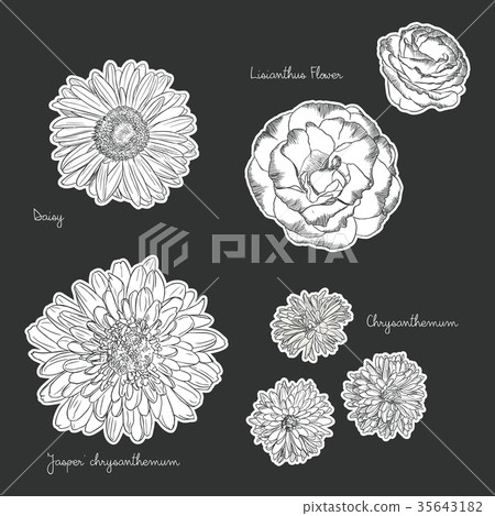 Floral bouquet with hand drawn spring flowers - Stock Illustration ...