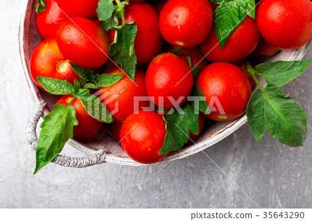 Red tomato in grey basket on grey background Red tomato in grey basket on grey background 35643290