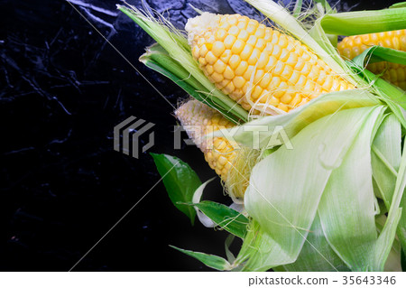 Fresh corn on black background. Copy space Fresh corn on black background. Copy space 35643346