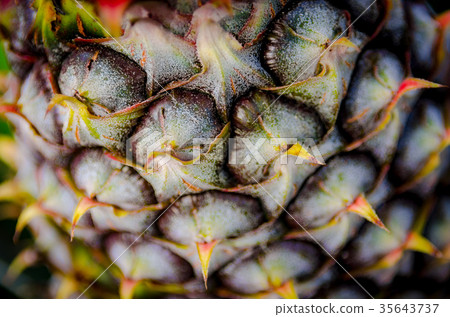 Pineapple fruit close up shot 35643737