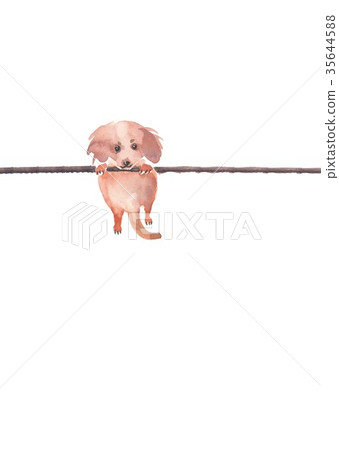 小狗新年材料 小狗新年材料 35644588
