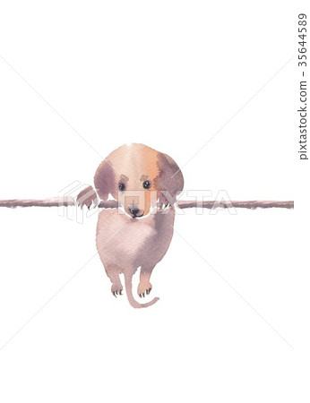 Puppy New Year material 35644589