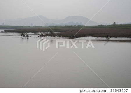 Bridge of micro-life, Siheung city, Gyeonggi-do 35645497