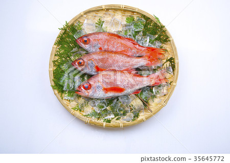 野黑郎 野黑郎 35645772