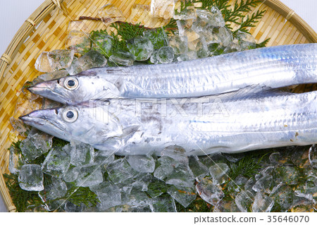 Sword fish ingredients 35646070