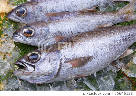 Mutsu ingredients Mutsu ingredients 35646138