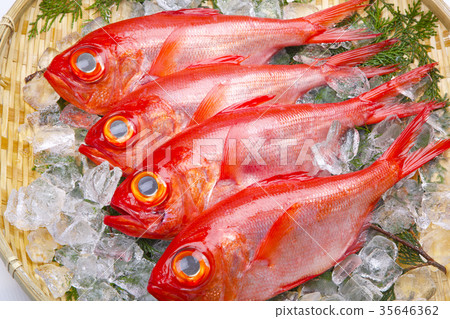 Kinmeji Aoi Ingredients 35646362