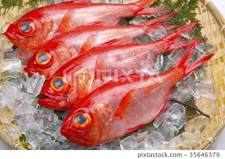 Kinmeji Aoi Ingredients 35646379