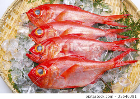 Kinmeji Aoi Ingredients Kinmeji Aoi Ingredients 35646381