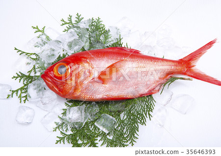 Kinmeji Aoi成分 35646393