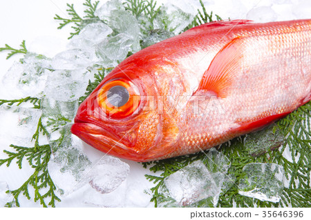 Kinmeji Aoi Ingredients Kinmeji Aoi Ingredients 35646396