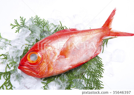 Kinmeji Aoi Ingredients Kinmeji Aoi Ingredients 35646397