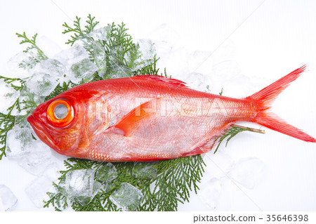 Kinmeji Aoi Ingredients Kinmeji Aoi Ingredients 35646398