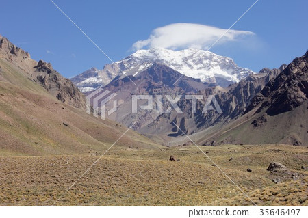 從安第斯山脈山谷觀看南美最高峰阿空加瓜，南美智利 - 阿根廷邊界和高山植物草甸傳播 35646497