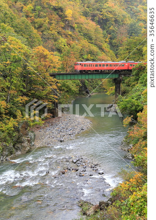 秋葉Tadami線 35646635